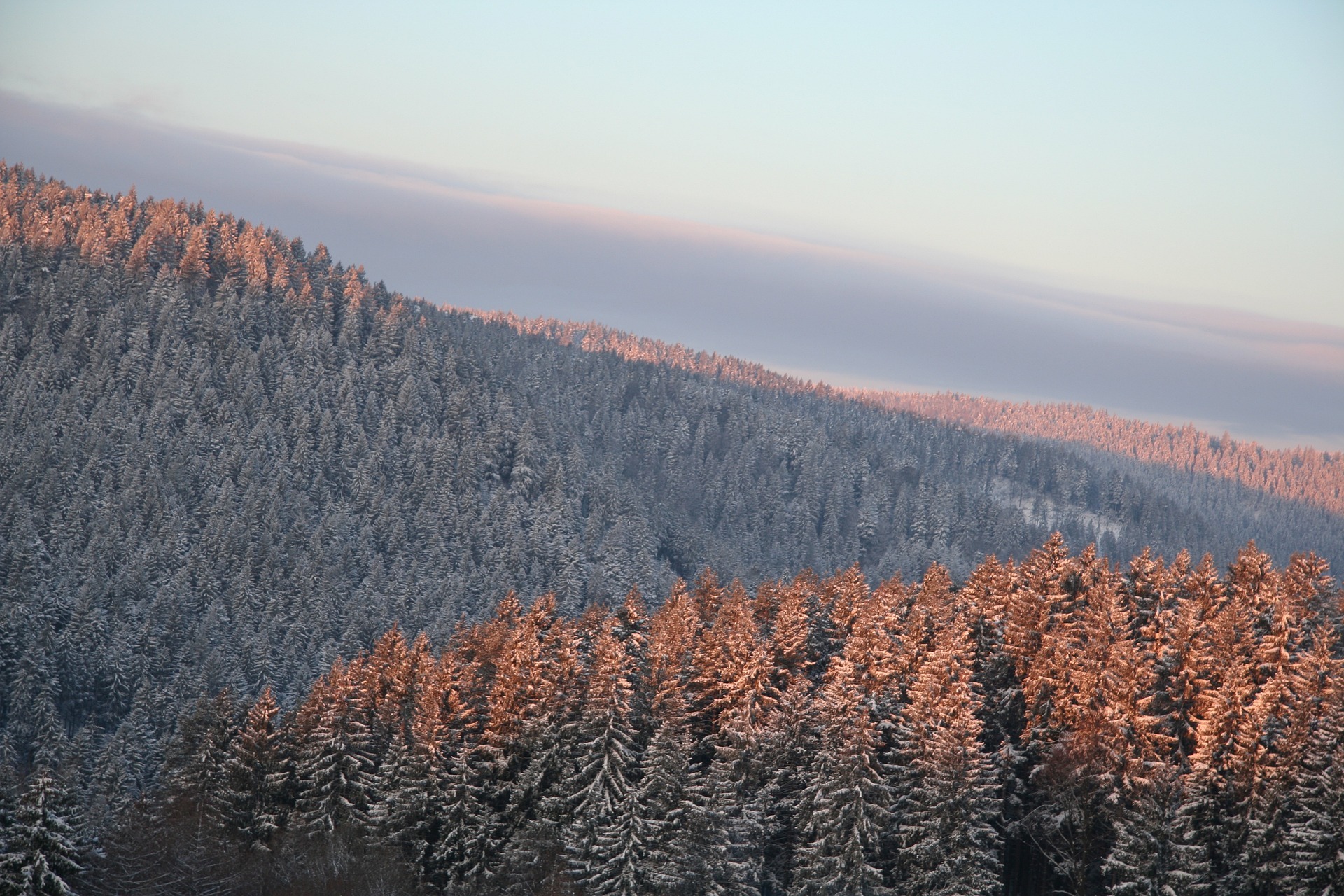 Webdesign Freudenstadt